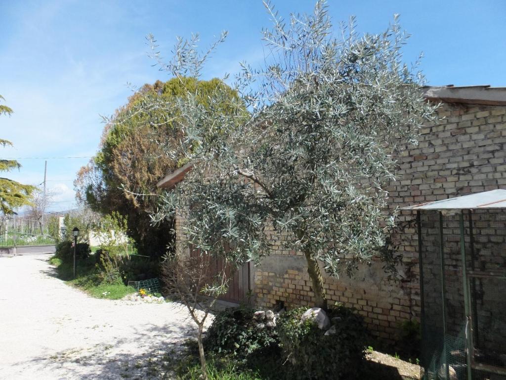 Cascina Antonini Guest House Foligno Exterior photo